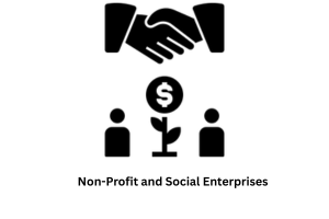Non-Profit and Social Enterprises
